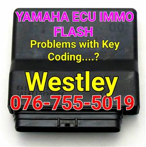 Yamaha Ecu Flash