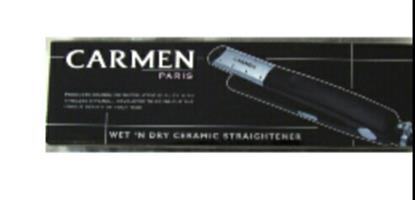 Carmen Wet + Dry  Ceramic Hair Straightener - Brand New!!