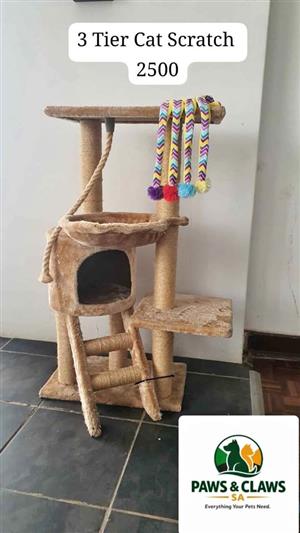 Various Kitten Accessories