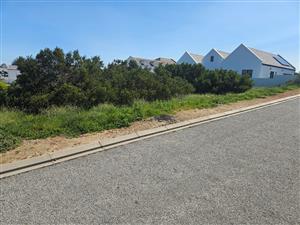 Stand Available in Shelley – Rare Opportunity!