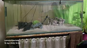 4 Ft Fish Tank & Stand 