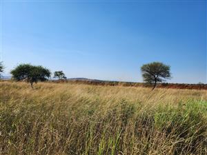 8.5ha Agricultural Plots for Sale | Prime Location Along R71 | 62 Plots Available
