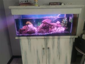 Fish tank on proper cabinet Everything included and a few fish 