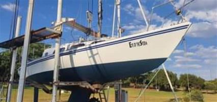 Trapper 28 Sailboat with trailer 