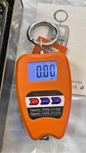 Crane Scales 200kg Digital