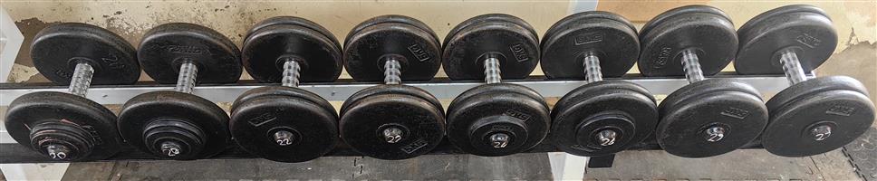 DUMBBELLS set.