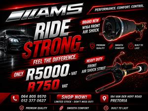 W164 Front Air Shock 