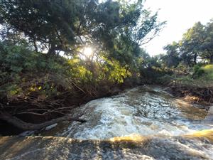 Exceptional 309.4ha Farming Opportunity – Two Adjoining Farms with Strong Water Supply