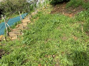 Vacant plot with breathtaking views