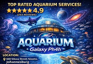 Custom Built Aquariums , Fish Pond and Maintenance Services