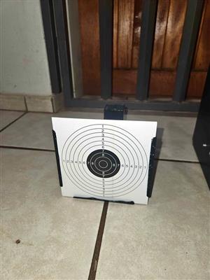 Pellet gun targets