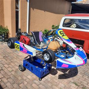 RICCIARDO GO KART 