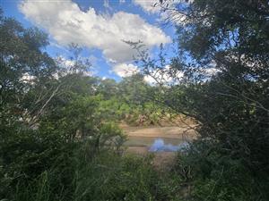Riverfront stand on Moditlo Wildlife Estate