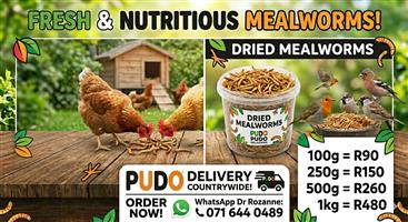 Premium Quality Mealworms Available