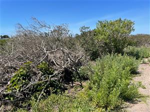 LEVEL PLOT IN FOREST DOWNS