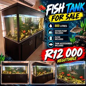 800litre Fish Tank for sale