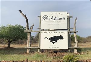 House For Sale in Blyde Wildlife Estate