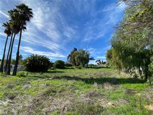 Large Riverfront Vacant Erf in Hopefield