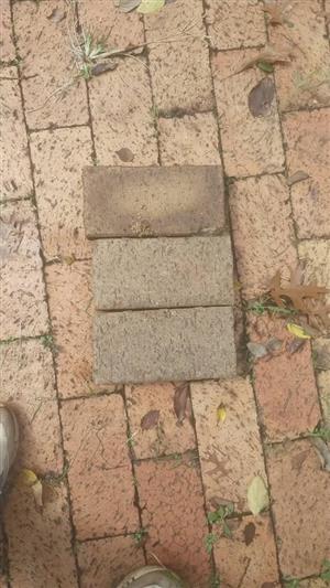 Paving bricks 