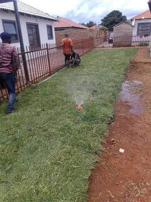 Instant Lawn supply and lnstallation