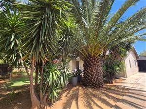 !Home Glowing with Warmth and Comfort!