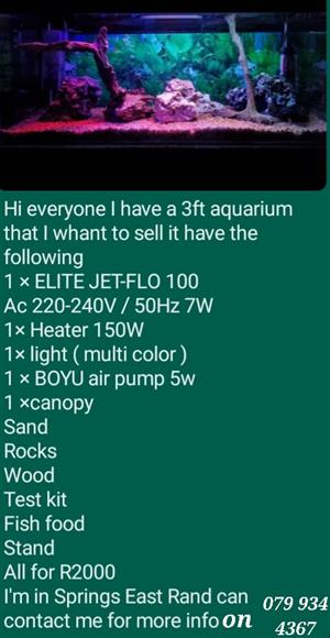 3ft fish tanks for sale 