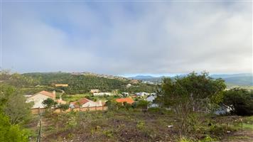 Prime vacant stand with magnificent views – and a whole lot of potential!