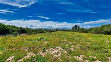 Farm For Sale in Sedgefield Rural