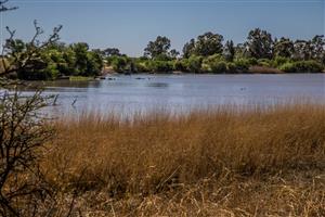 Vacant Land Agricultural For Sale in Koppies