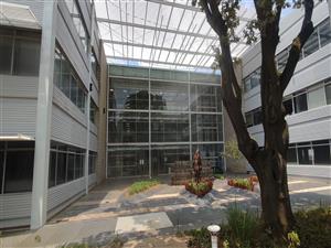 313.64 sqm Offices to let in Illovo