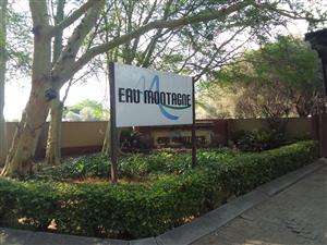 Luxurious and spacious Units