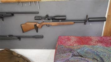 Pcp air rifle