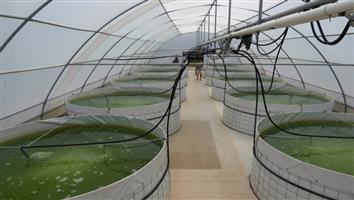 Welded mesh reservoir