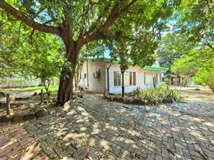 Looking for space? Then this house is just for you.