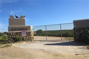 Bosfeld at the coast - Fisantekraal Eco Estate.