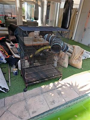 Rat cage