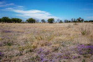Vacant Land Agricultural For Sale in Koppies