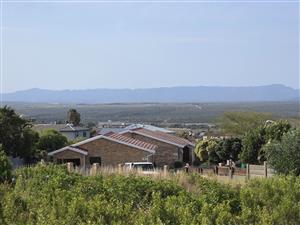 Desirable Northeasterly Orientation Stand