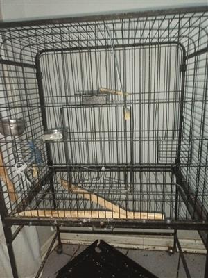 its a relatively large cage that can fit 2 parrots