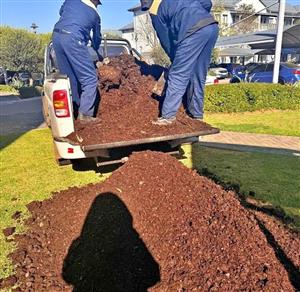 Compost And Lawn Dressing Mixed We Deliver Free Whatsapp Us For Orders 