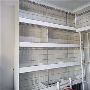 Breeding cages -  Used for Gouldians and Canaries