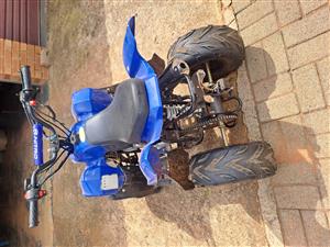 125cc automatic Nitro quad bike