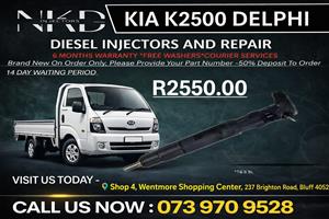 Kia K2500 Delphi Diesel Injectors 