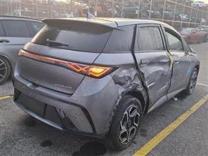 BYD DOLPHIN stripping 