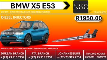 BMW X5 E53 Diesel Injectors 