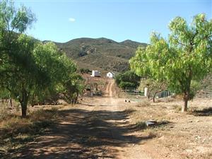 Don't miss out on this Holiday Farm with Wedding Venue and Chapel in Barrydale