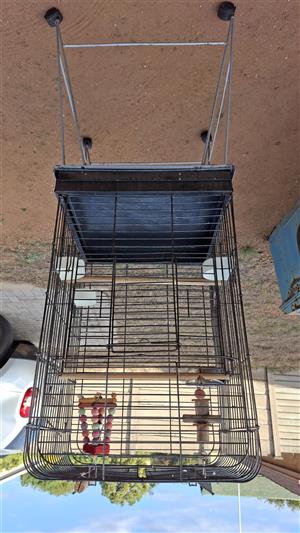 Large bird cage