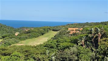 House For Sale in Zimbali Estate