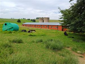 MOOI RIVER : 2 524ha MIXED CATTLE AND CROPPING FARM -COMPRISING 7 ADJOINING SUBDIVISIONS-R62 000 000