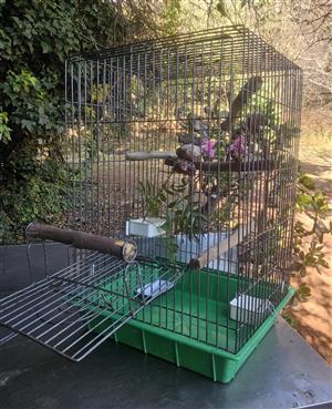 Parrot cage in good condition